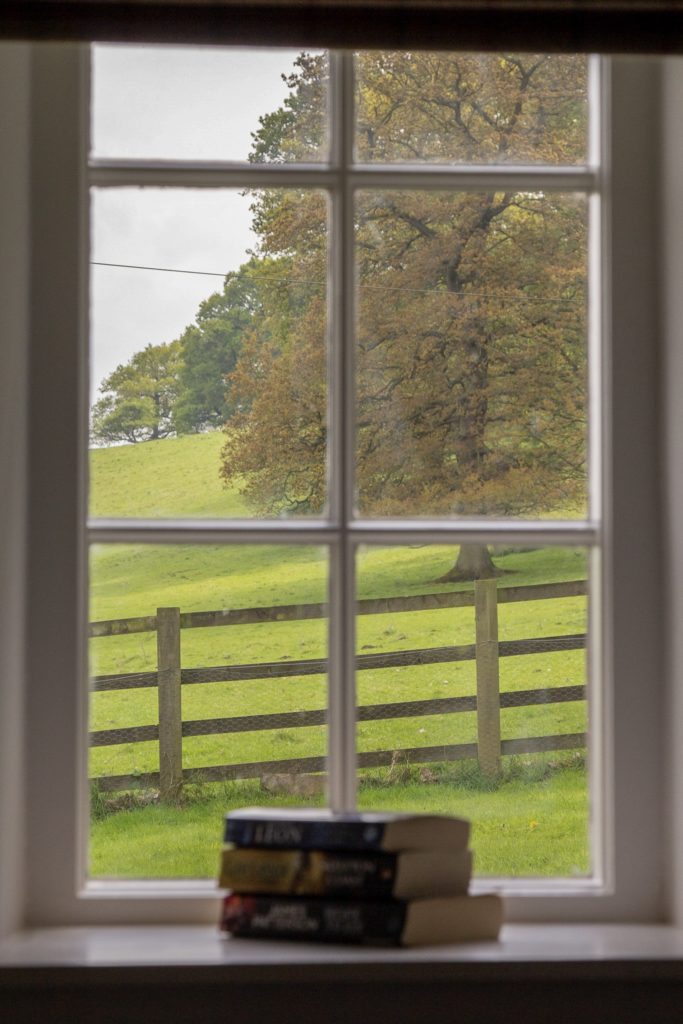view from carr cottage window 