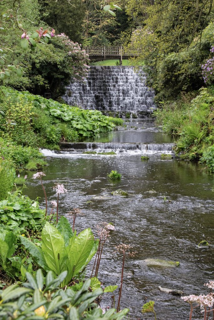 harewood house gardens 