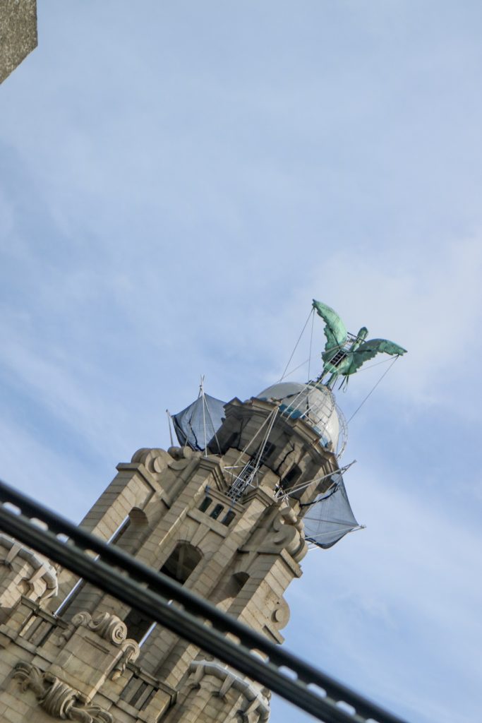 view of one of the liver birds in liverpool