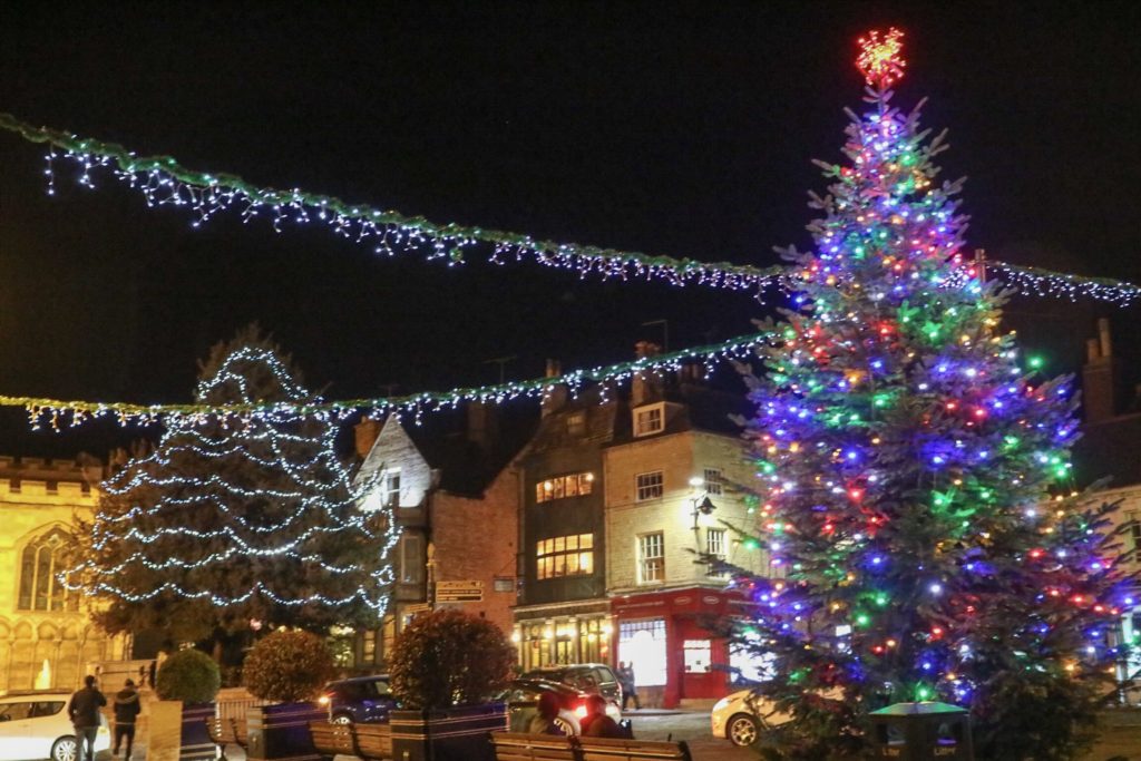 christmas trees and lights in stamford